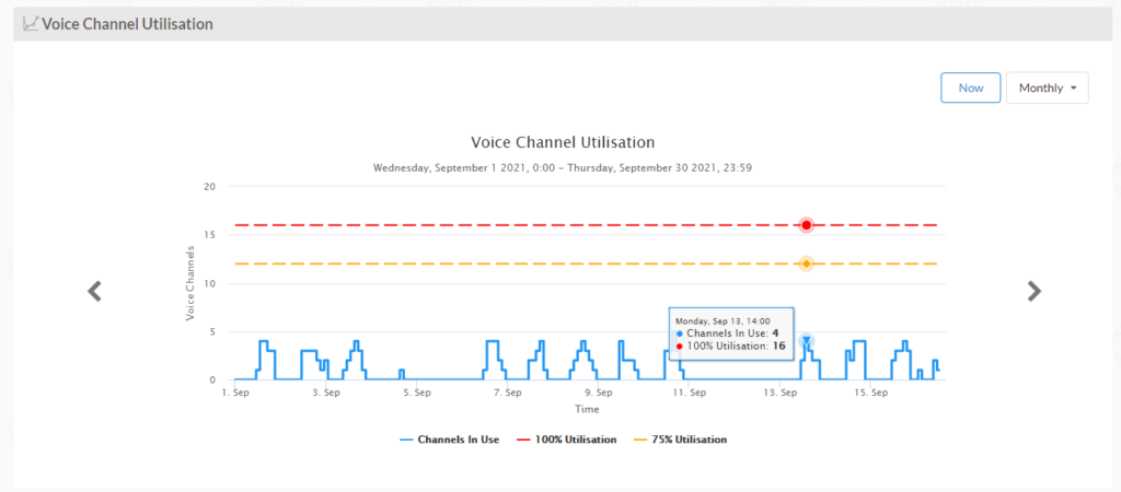 VoIP channel utilisation for voice services