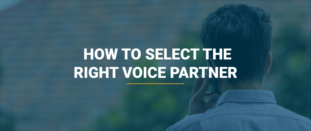 How to select the right voice partner? 30 how to select the right voice partner