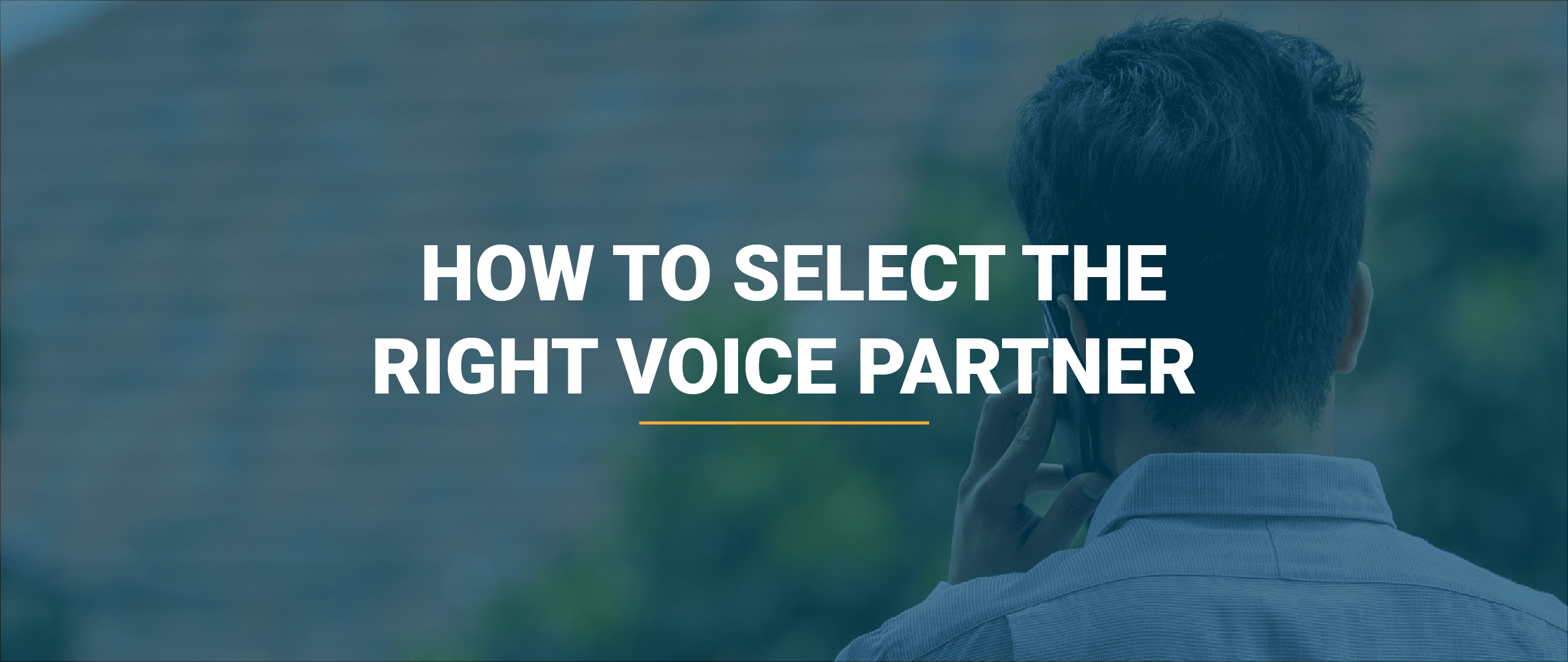 how to select the right voice partner