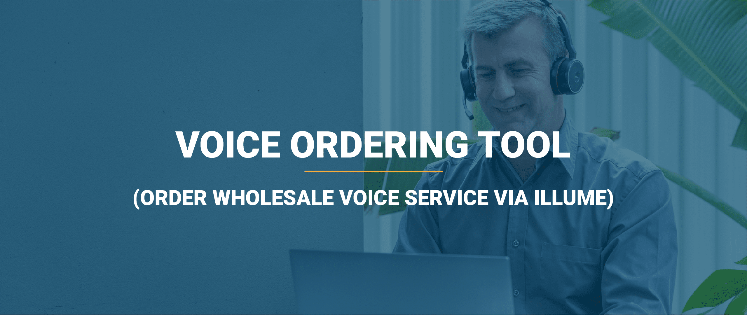 Voice ordering tool