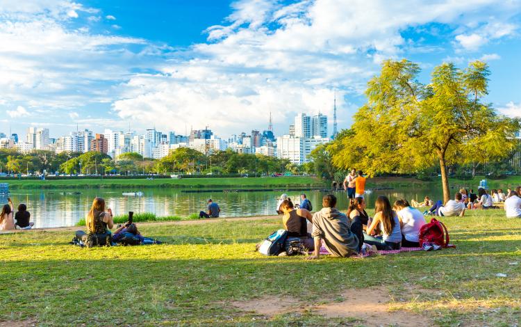 international picnic day