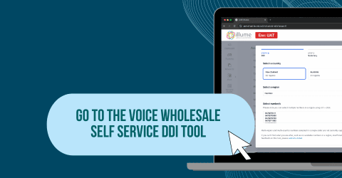 Self Service DDI Management Tool